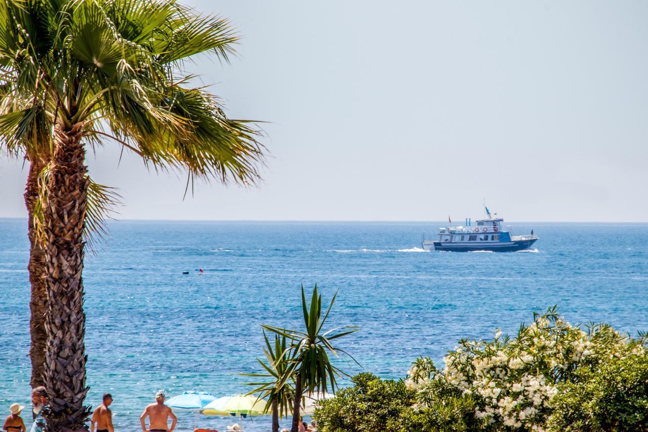 Espanatour Vega Baja トレビエハ エクステリア 写真